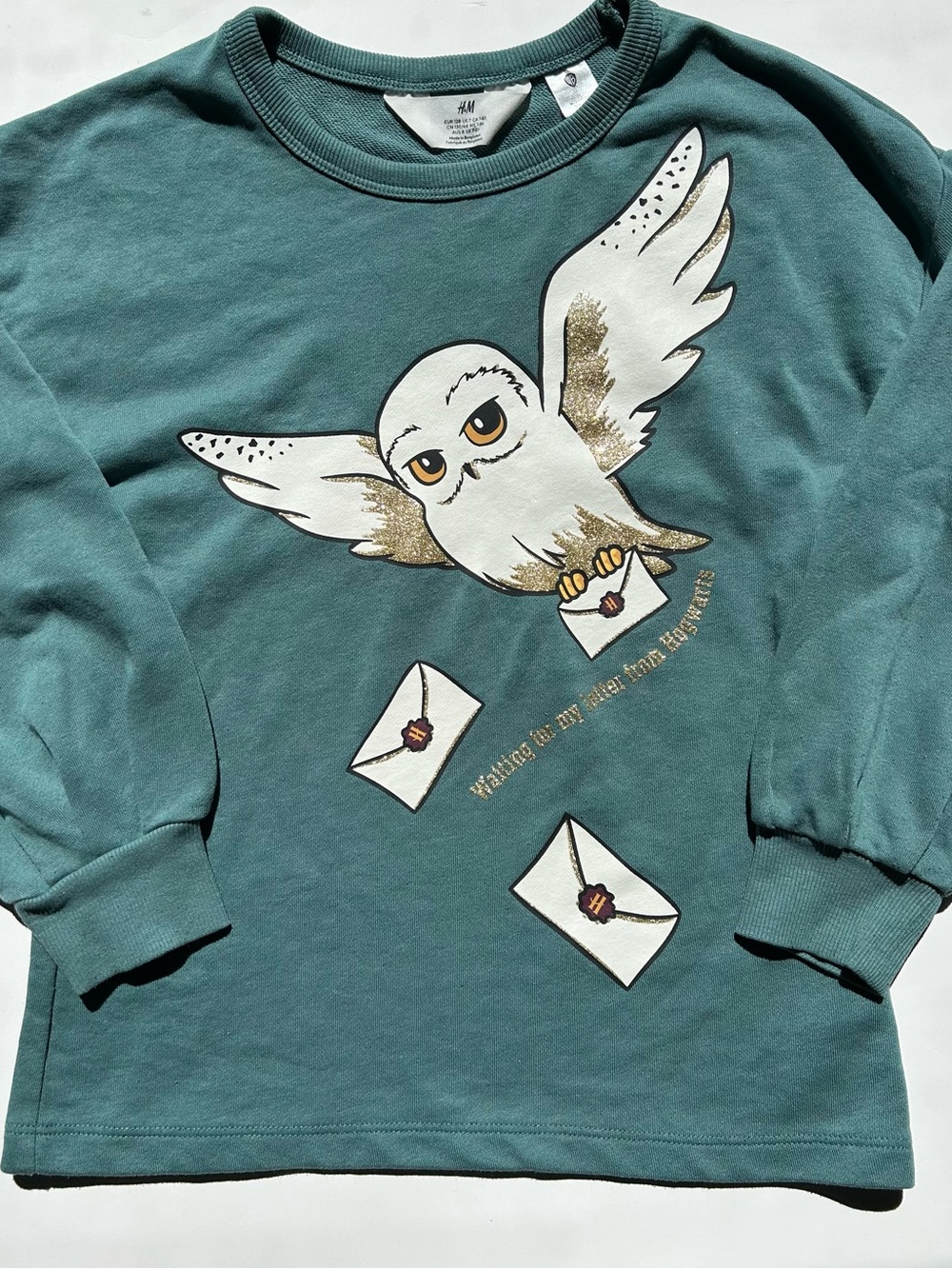 H&M and Harry Potter Crewneck Sweater